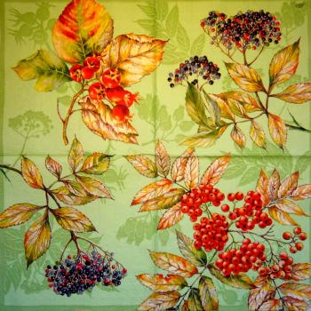 046 Beeren (grün) - Ihr